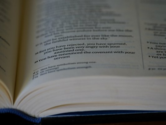 Makale Görseli